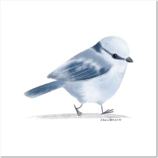 Azure Tit Bird Posters and Art